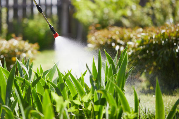 24/7 Emergency Wasp Removal experts in Bernie, MO