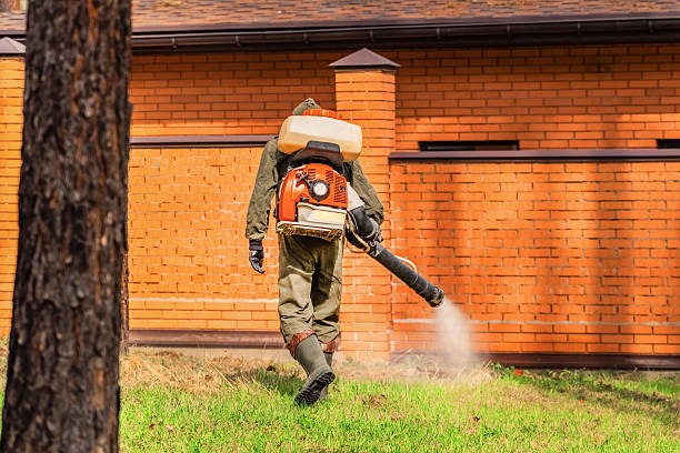 Top rated local Wasp Removal specialists in Bernie, MO